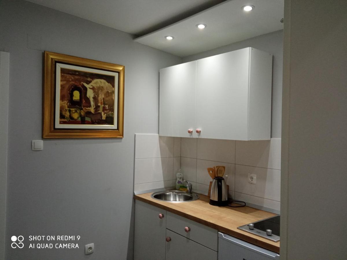 Villa Lucia - Apartments&Rooms Slavonski Brod Exterior photo